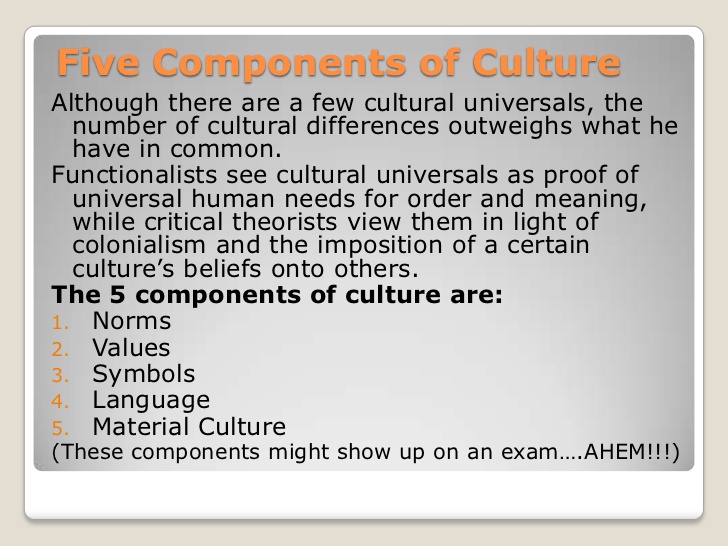 Is culture part of sociology?
