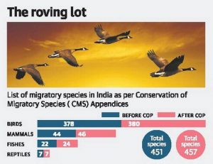 List of migratory species | TriumphIAS