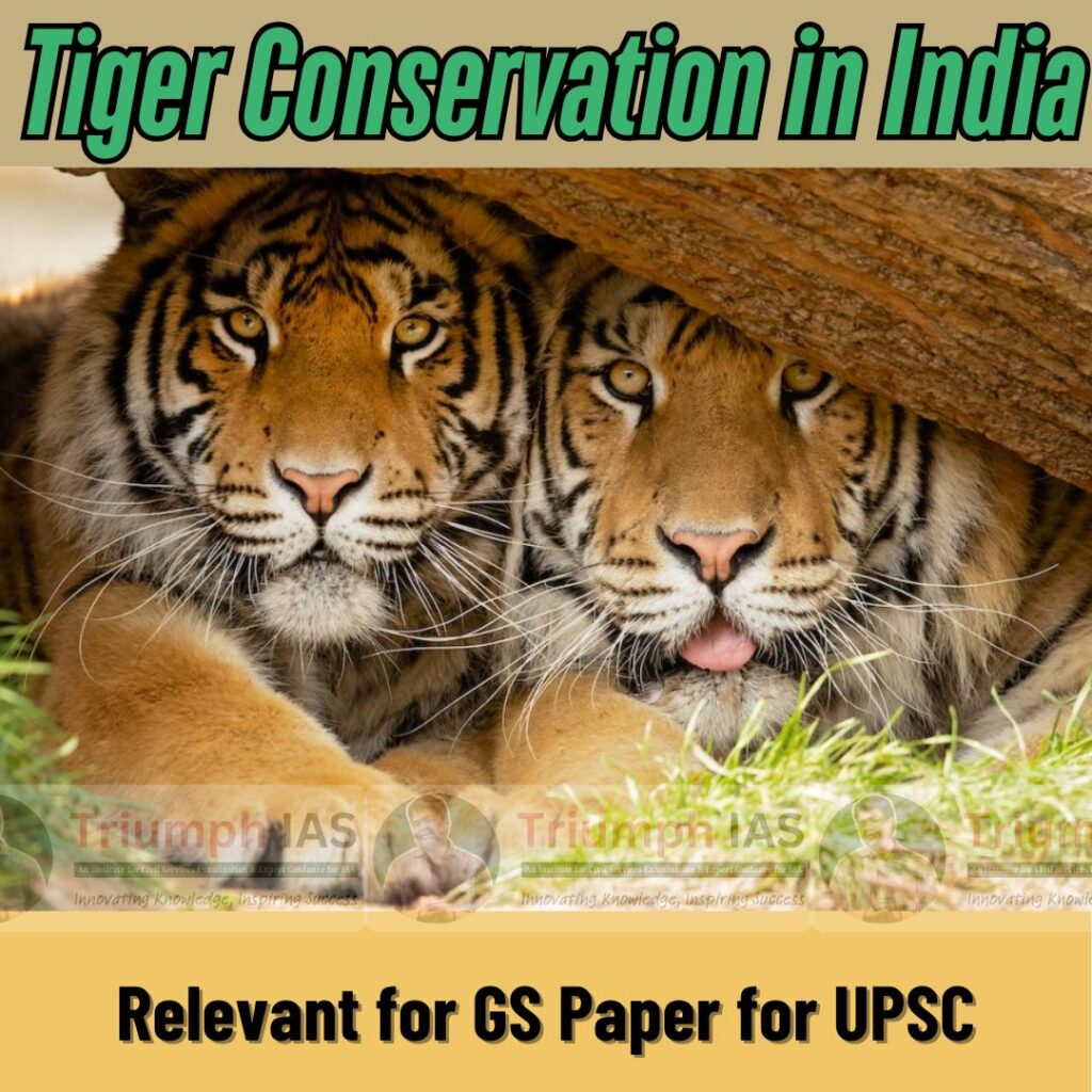 Tiger Conservation in India