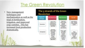 write an essay on green revolution in india
