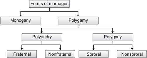 Types of Marriage: Monogamy, Polygamy, and Group Marriage Explained ...