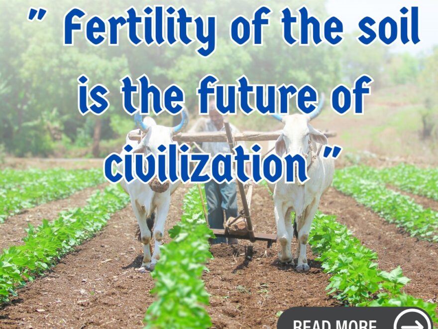 Soil Fertility, Civilization, Agriculture, Biodiversity, Food Security, Sustainability, Threats, Erosion, Chemical Overuse, Deforestation, Sustainable Practices