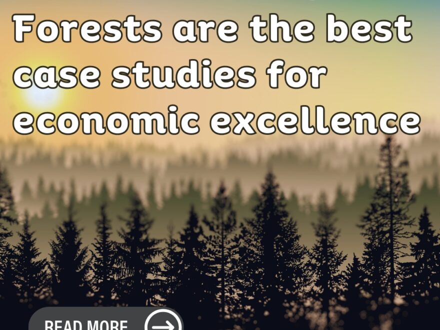 forests, economic excellence, sustainable resource management, tourism, biodiversity conservation, ecosystem services, responsible forest management, sustainability