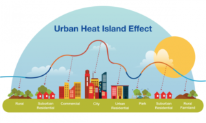Urban Heat Island Effect: Causes, Consequences, and Solutions, Best Sociology Optional Coaching, Sociology Optional Syllabus.