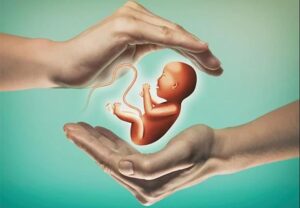 Synthetic Human Embryos: Navigating the Ethical and Regulatory Labyrinth of Biotechnology’s Newest Frontier, Best Sociology Optional Coaching, Sociology Optional Syllabus.