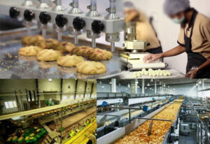 Food Processing Sector in India: Challenges, Opportunities, and Impact on Farmers, Best Sociology Optional Coaching, Sociology Optional Syllabus.