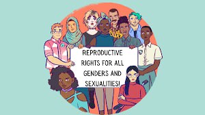 Sociological analysis of reproductive rights of women and issues related marital rape, Best Sociology Optional Coaching, Sociology Optional Syllabus.