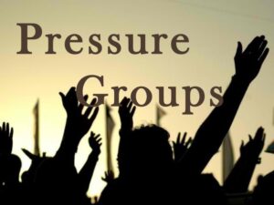 The Role and Influence of Pressure Groups in Modern Governance, Best Sociology Optional Coaching, Sociology Optional Syllabus.