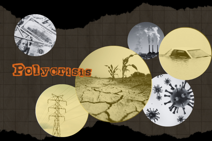 Polycrises Addressing the Climate Polycrisis: Strategies and Initiatives in India ...