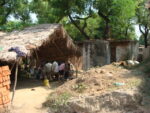 Problems Related to Village Studies in India