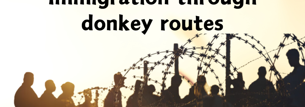 Immigration through donkey routes
