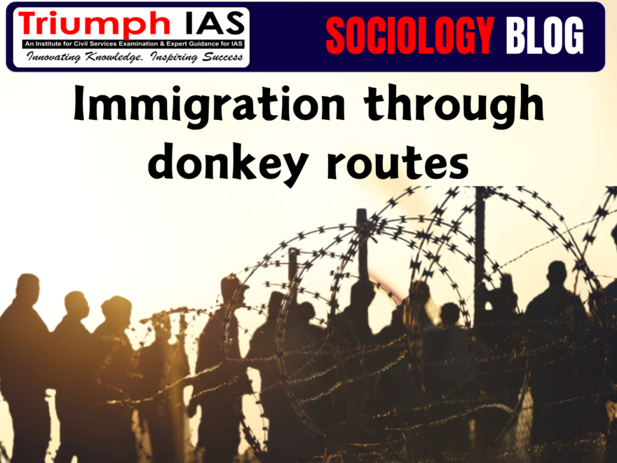 Immigration through donkey routes