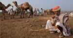 A new hope for Indian pastoral community