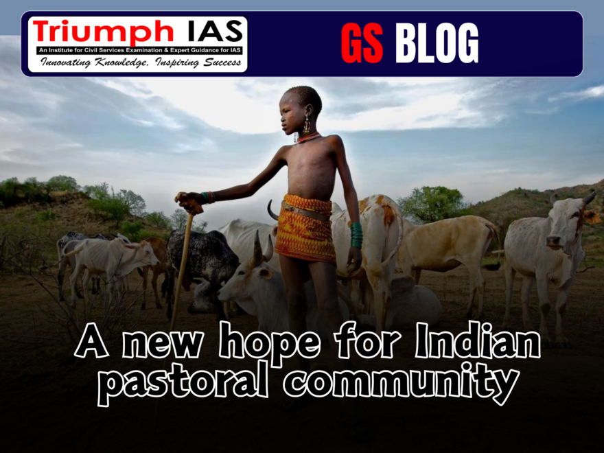 A new hope for Indian pastoral community