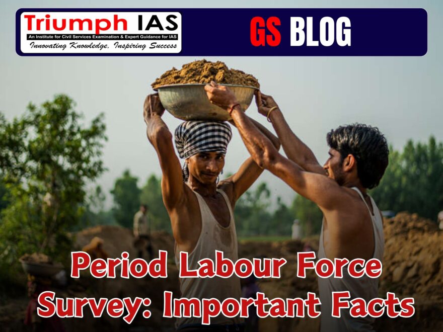 Period Labour Force Survey: Important Facts