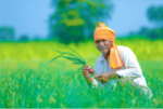 Strengthening Rural Sustainability and Growth