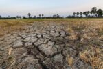 Challenges of Soil Degradation in India