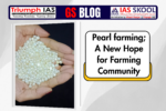 Pearl Farming; A New Hope for Farming Community