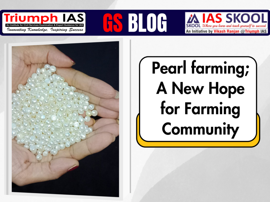 Pearl Farming; A New Hope for Farming Community