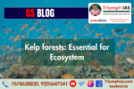 Kelp forests: Essential for Ecosystem