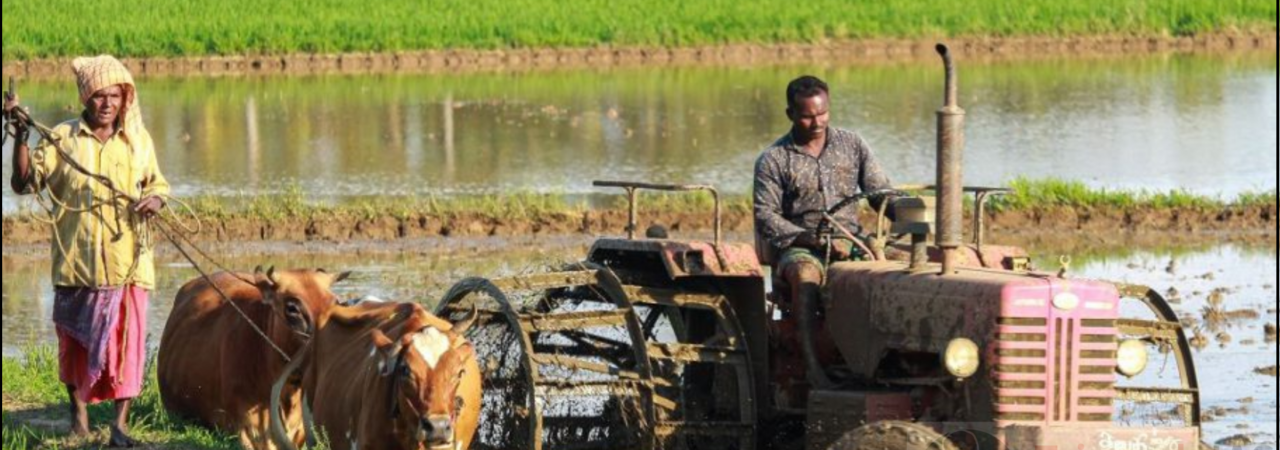 Is Rural India Still Agrarian? Understanding Occupational Shifts and Identity