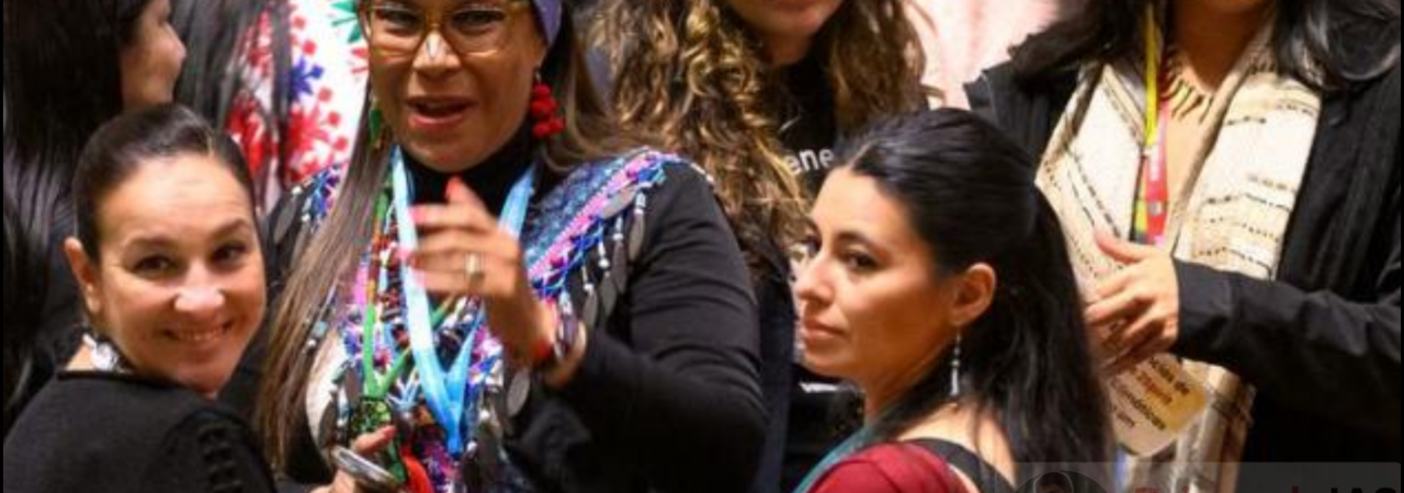 Challenges Faced by Indigenous Peoples: ‘An Affront to Dignity and Justice’