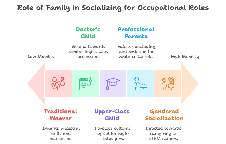 Role of Family in Socializing for Occupational Roles