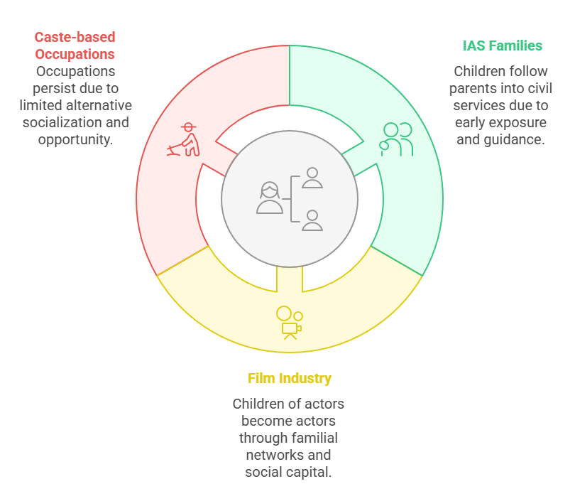 Real-life Examples from Indian Society
