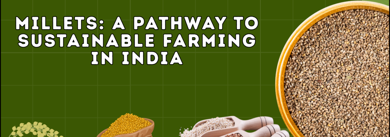 Millets: A Pathway to Sustainable Farming in India