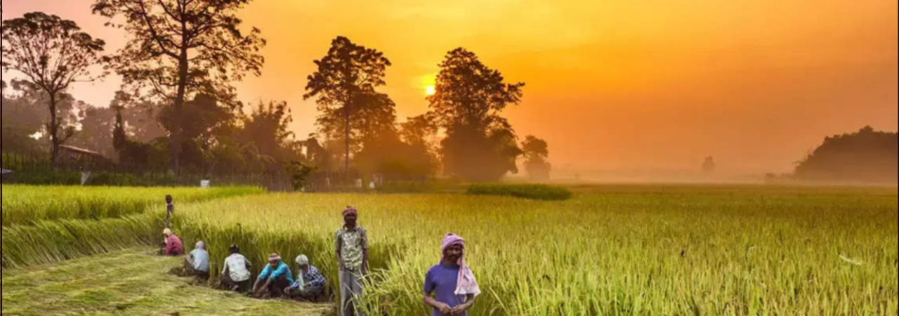 Rural and Agrarian Transformation in India