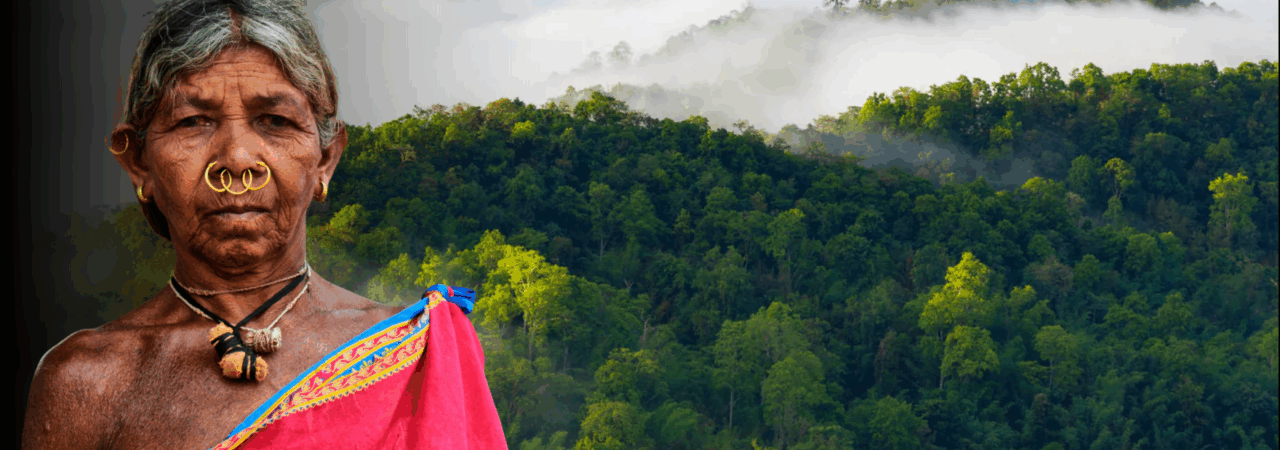 Forest Rights and Evictions