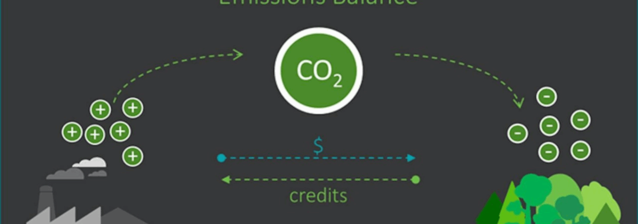 Establishing a Trustworthy Carbon Market in India