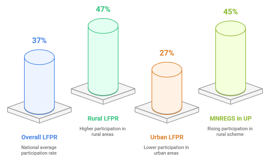 Workforce & Economic Empowerment