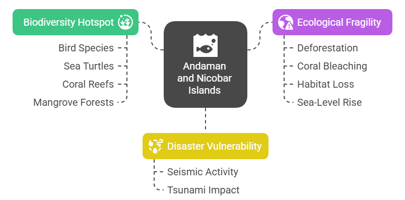 Environmental Concerns