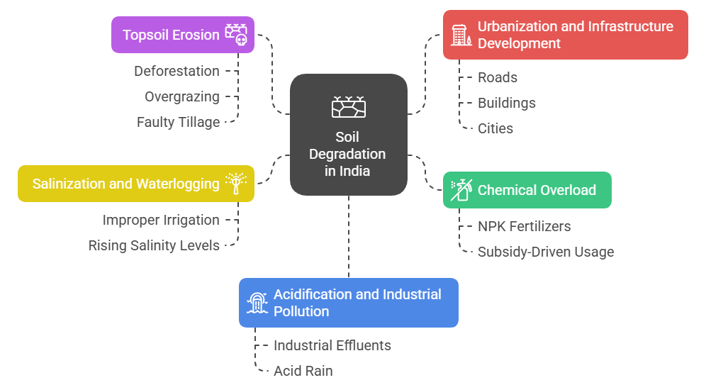 Major Causes of Soil Degradation
