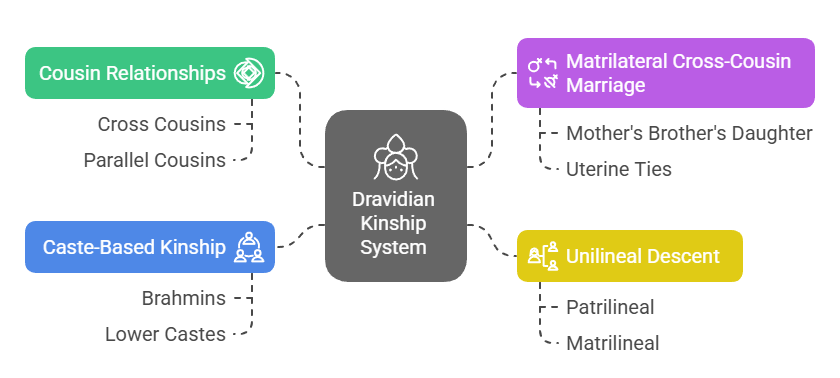 Features of the South Indian Kinship System 