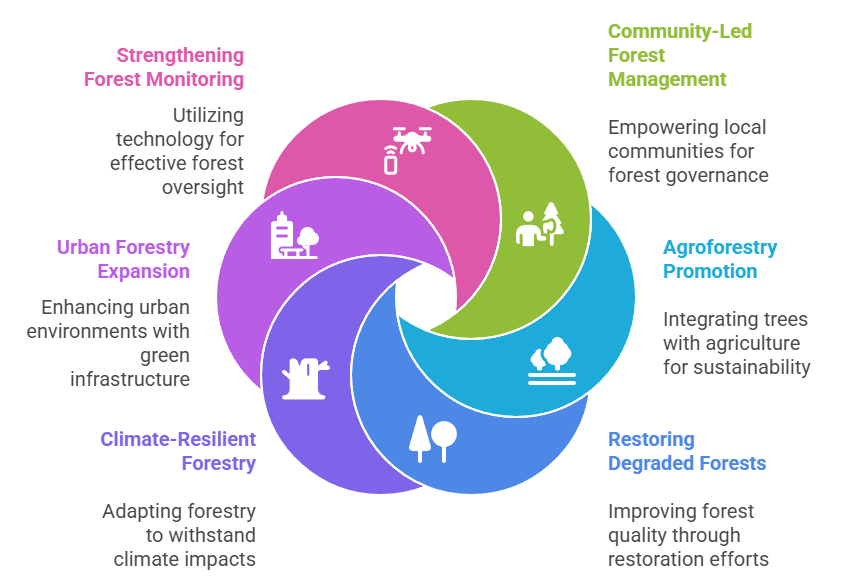 Way Forward: Revitalizing Forests