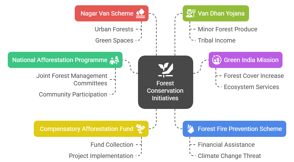 Government Initiatives for Forest Revitalization
