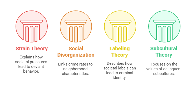 Sociological Analysis