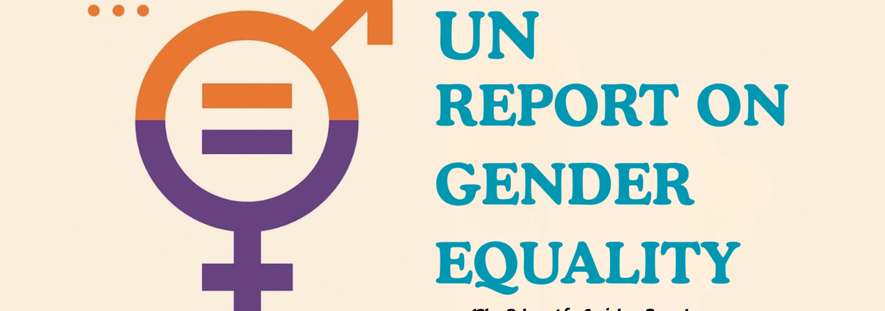 UN Report on Gender Equality