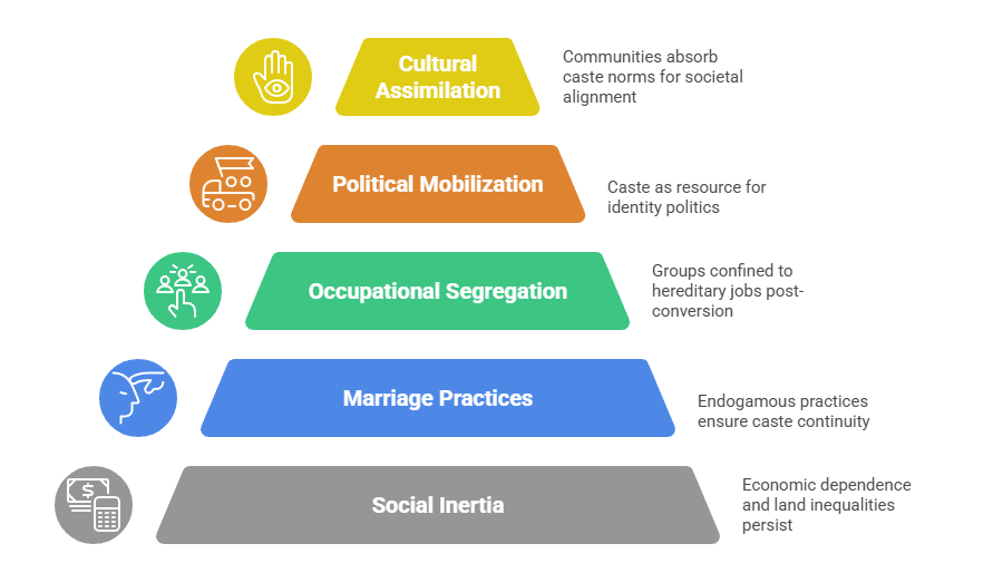 Why Do Caste-like Formations Persist across Religions