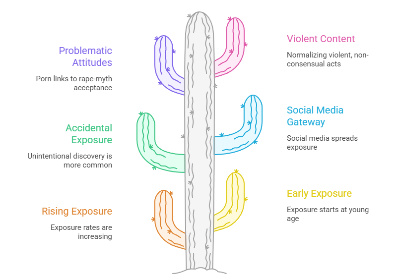 Key Findings of the Report