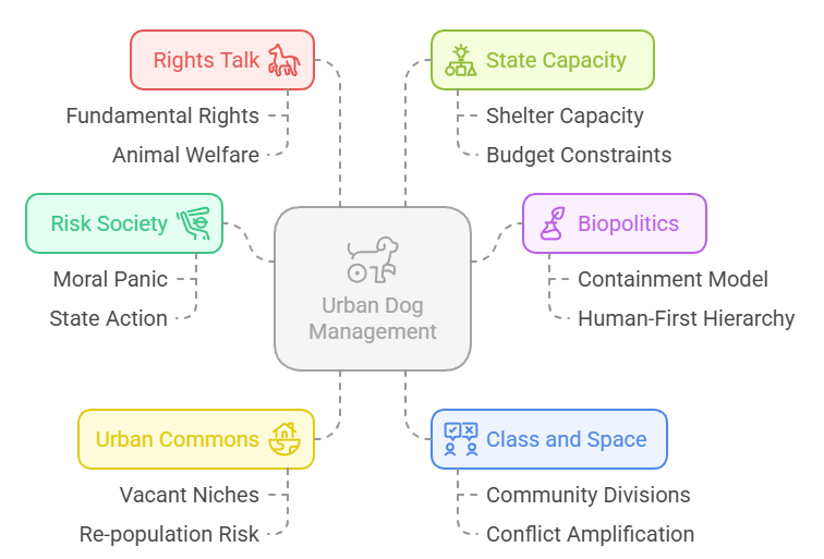 Sociological Analysis