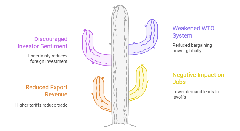 Broader Economic Consequences
