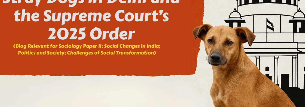 Stray Dogs in Delhi and the Supreme Court’s 2025 Order