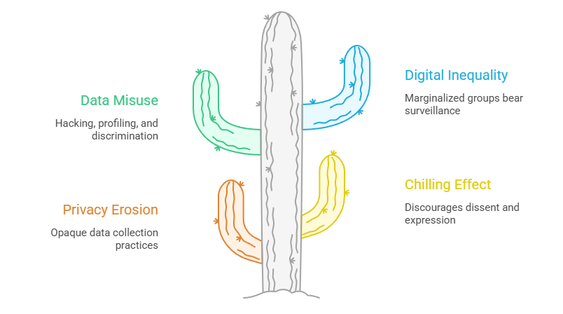 Criticisms and Concerns