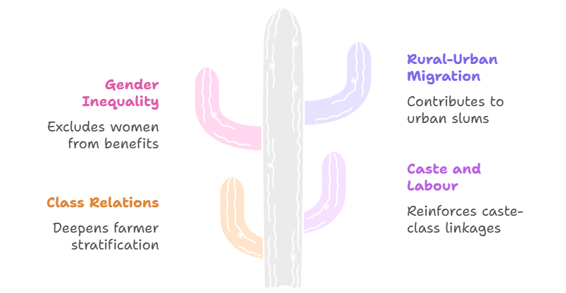 Broader Sociological Implications