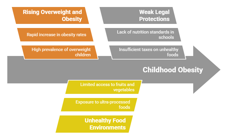Key Findings from the UNICEF 2025 Report