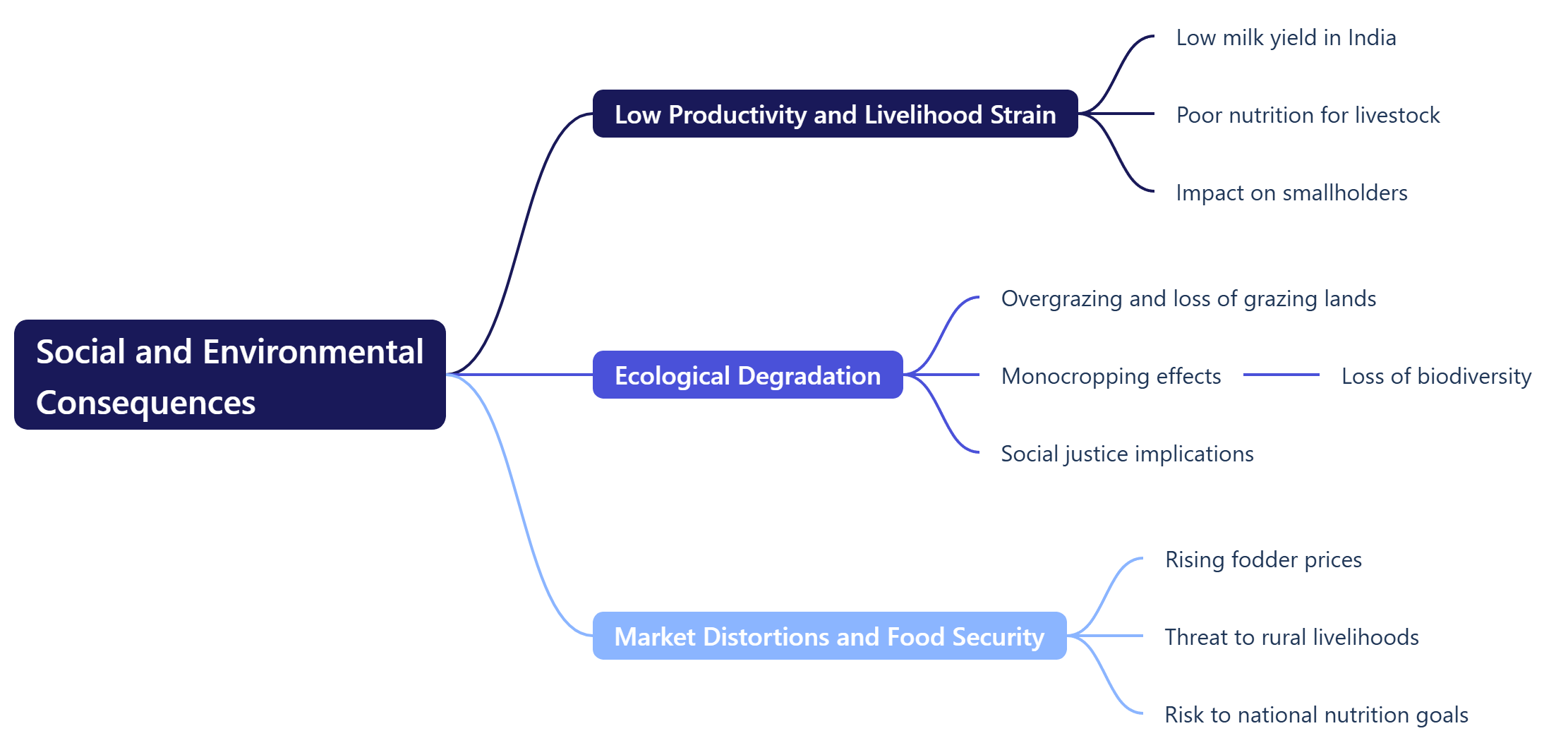 Social and Environmental Consequences