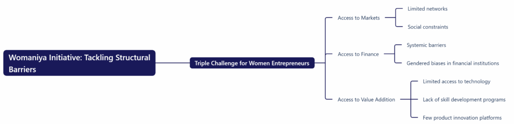Womaniya Initiative: Tackling Structural Barriers